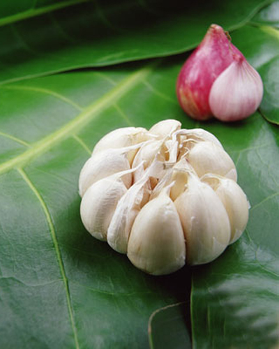 Dùng tỏi trị nấm cho cô bé