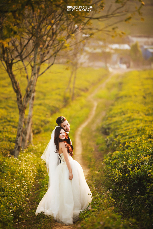 NHỮNG BỨC HÌNH CƯỚI LÃNG MẠN TRÊN THẢO NGUYÊN MỘC CHÂU